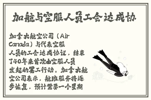 麻豆视传媒在线观看